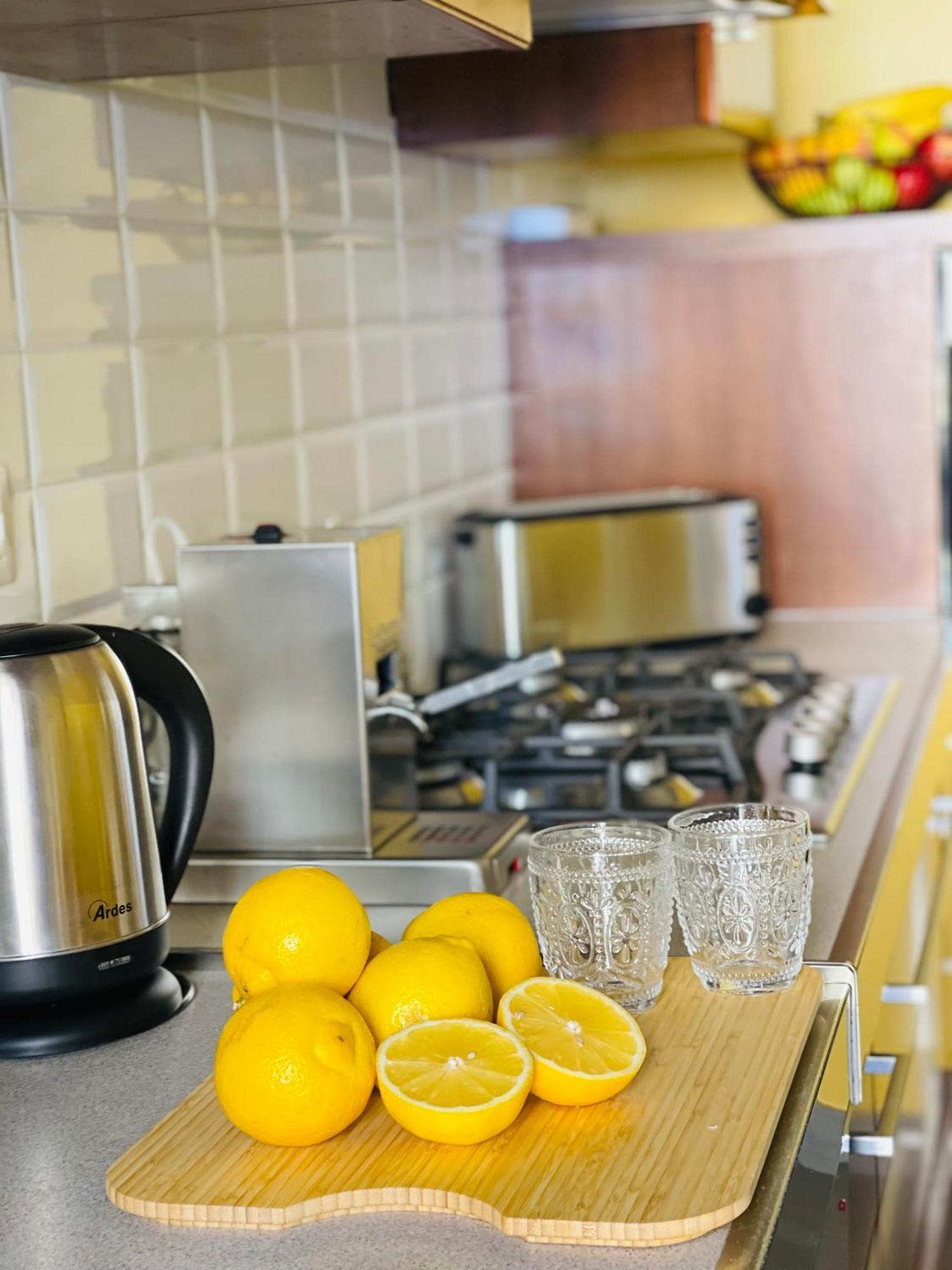 Cozy Apartment Gianicolense 3Bdr ローマ エクステリア 写真